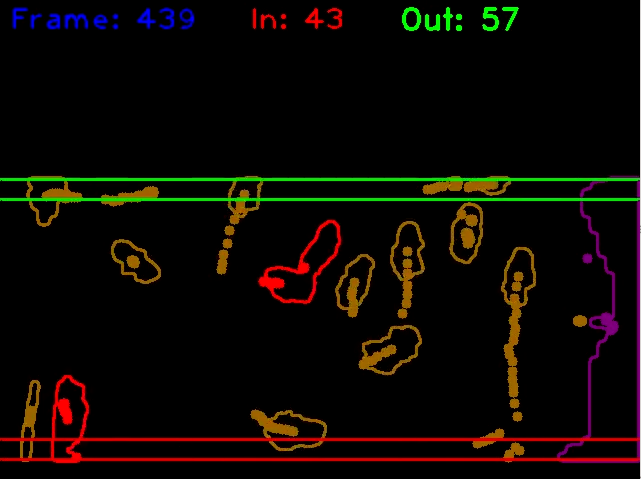 File:BeeTrack1 1d.png