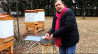 SCBA hives 201402.png