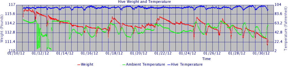 Hive graph spring1.gif