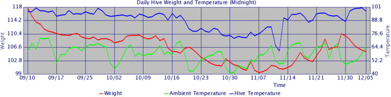 File:Hive graph 2011 brood.gif