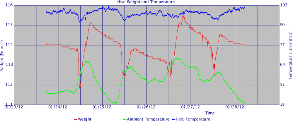 Hive graph 20120128.gif