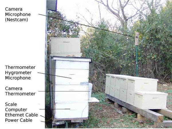 Athens apiary labeled2.jpg